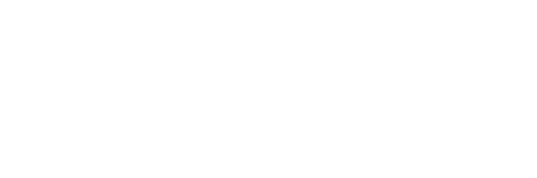 SALT University