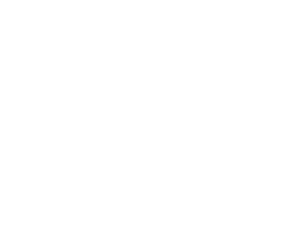 SALT University
